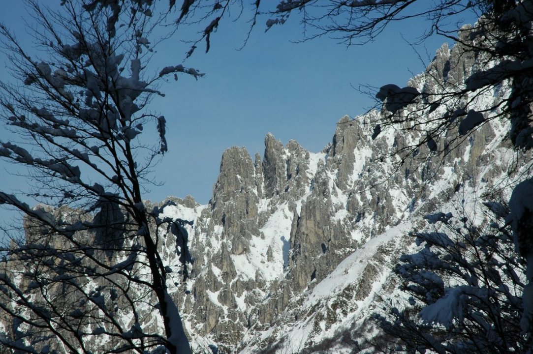 Parco Valentino al Monte Coltignone